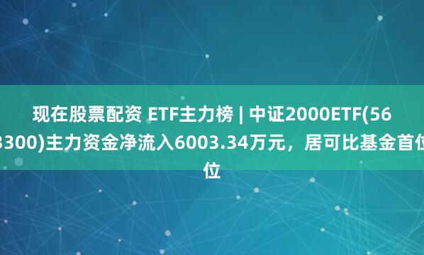 现在股票配资 ETF主力榜 | 中证2000ETF(563300)主力资金净流入6003.34万元，居可比基金首位
